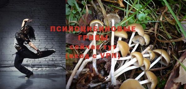мет Данков