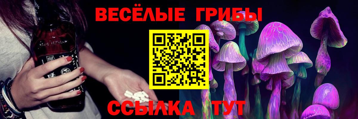 Галлюциногенные грибы ЛСД  Вход с VPN  Татарск  цены наркотик  Псилоцибиновые грибы Magic Shrooms 